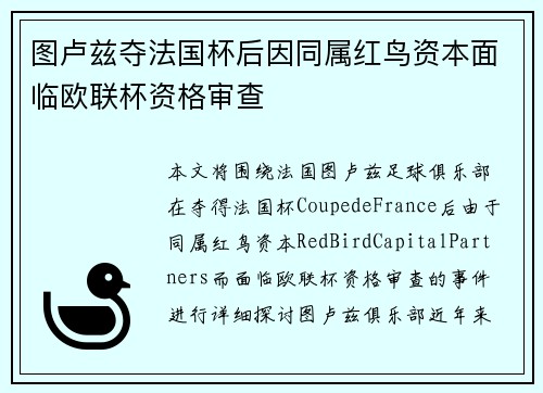 图卢兹夺法国杯后因同属红鸟资本面临欧联杯资格审查